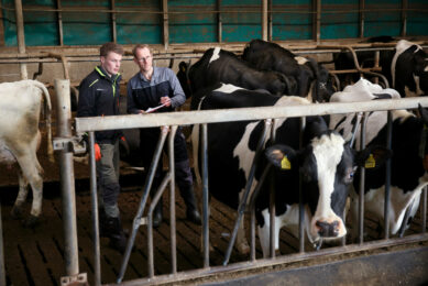 The dairy industry remains the largest recipient of state aid among all segments of Russian agriculture. Photo: Hans Prinsen