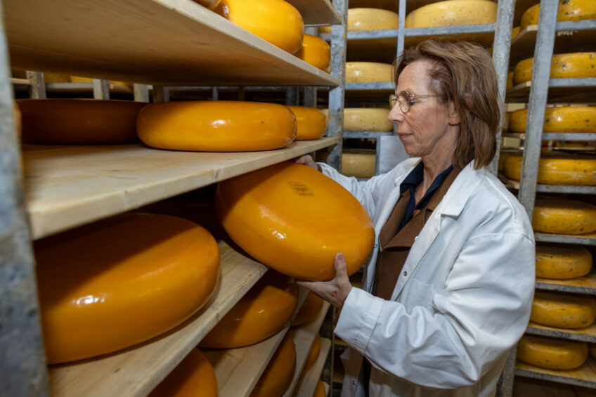 Despite less milk available, EU27 cheese production is forecast to reach 10.8 mmt in 2025, up 0.6% from 2024. Photo: Peter Roek