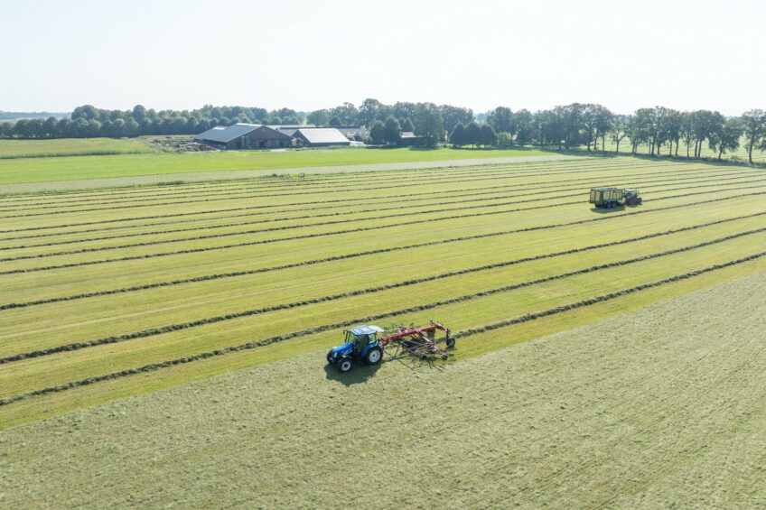 Cows consuming timothy harvested 3 times per year had greater organic matter digestibility, greater energy-corrected milk yield, and lower methane yield. Photo: Michel Velderman