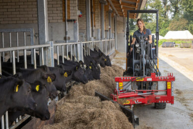 Despite the headwinds facing UK’s dairy industry, the sector has enormous potential to thrive. Photo: Koos Groeneveld